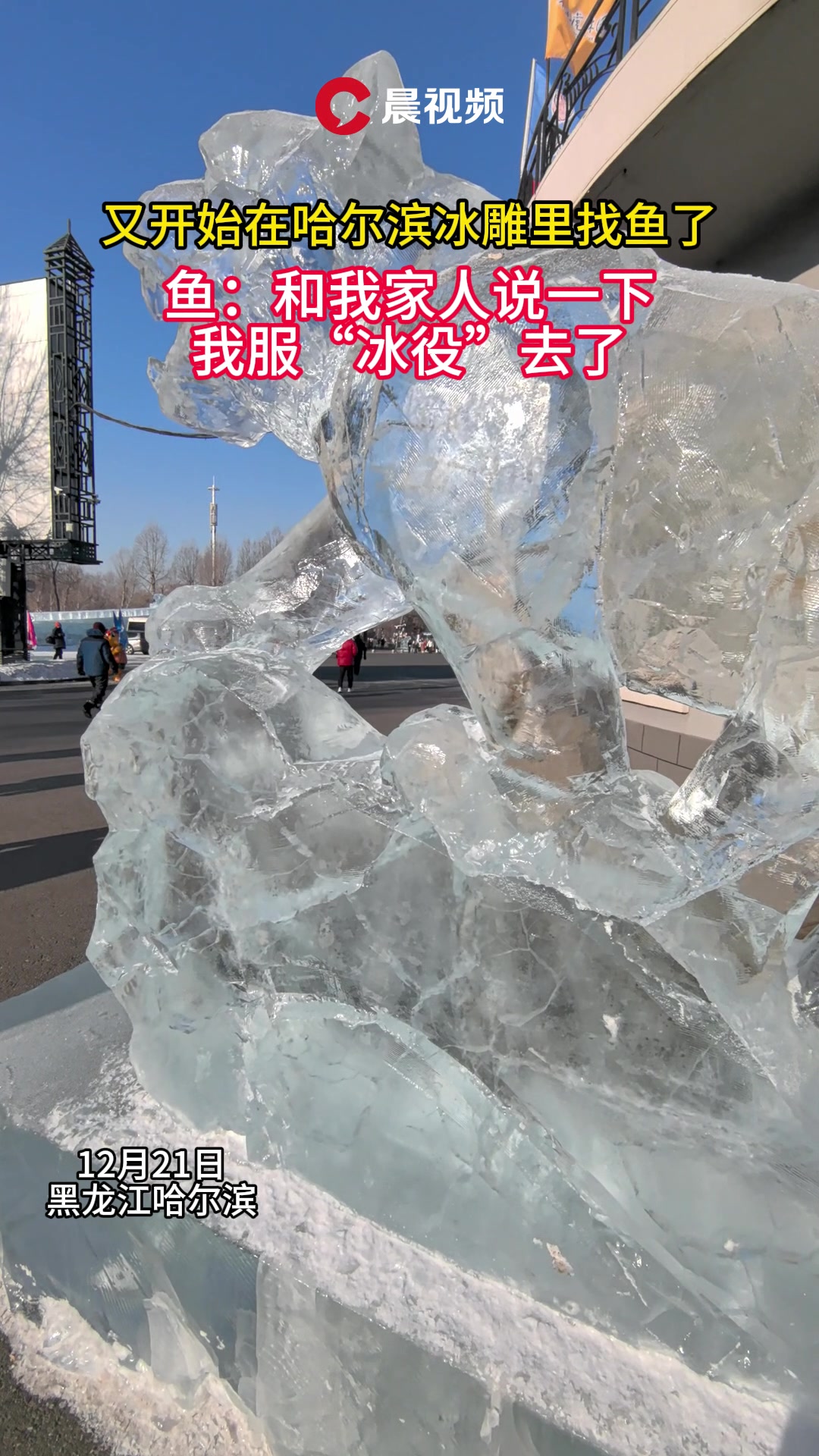 冰雕虎里惊现小鱼,网友:又到哈尔滨鱼服“冰役”的季节