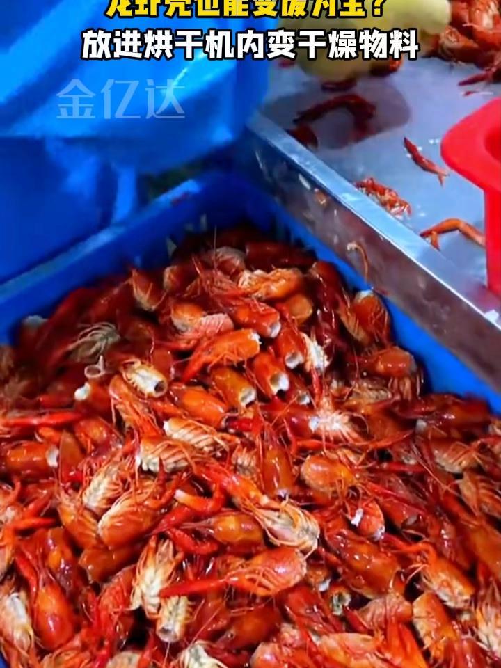龙虾壳也能变废为宝?一台 烘干机 就能搞定 气流烘干机 烘干机厂家 豆渣烘干机 龙虾烘干机