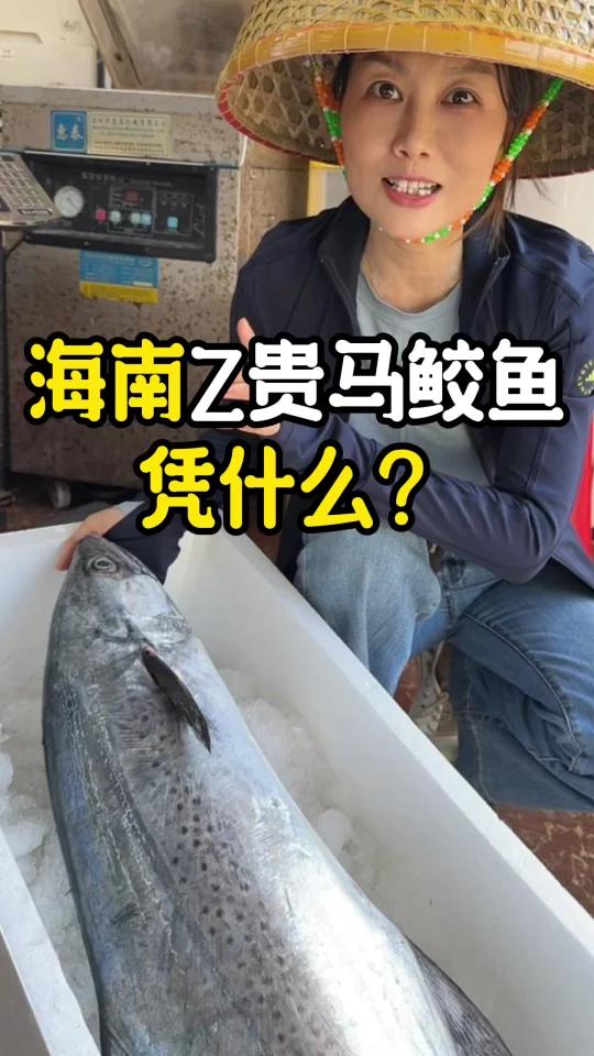 海南马鲛鱼天花板原来是它