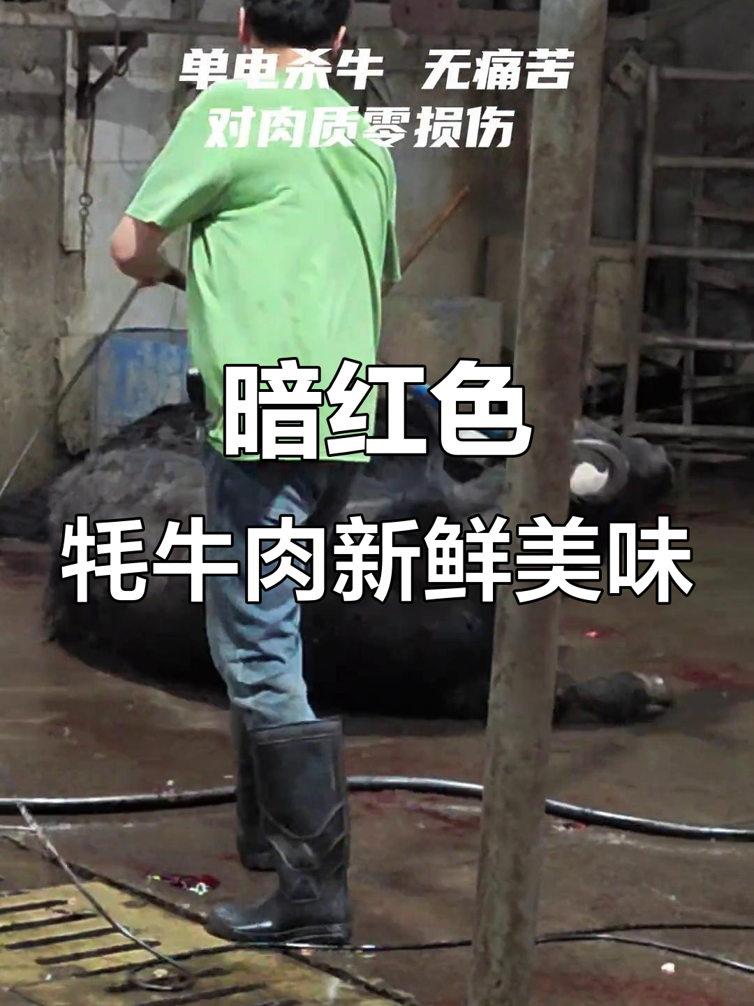 90后小伙手切牦牛肉,暗红鲜美无比!