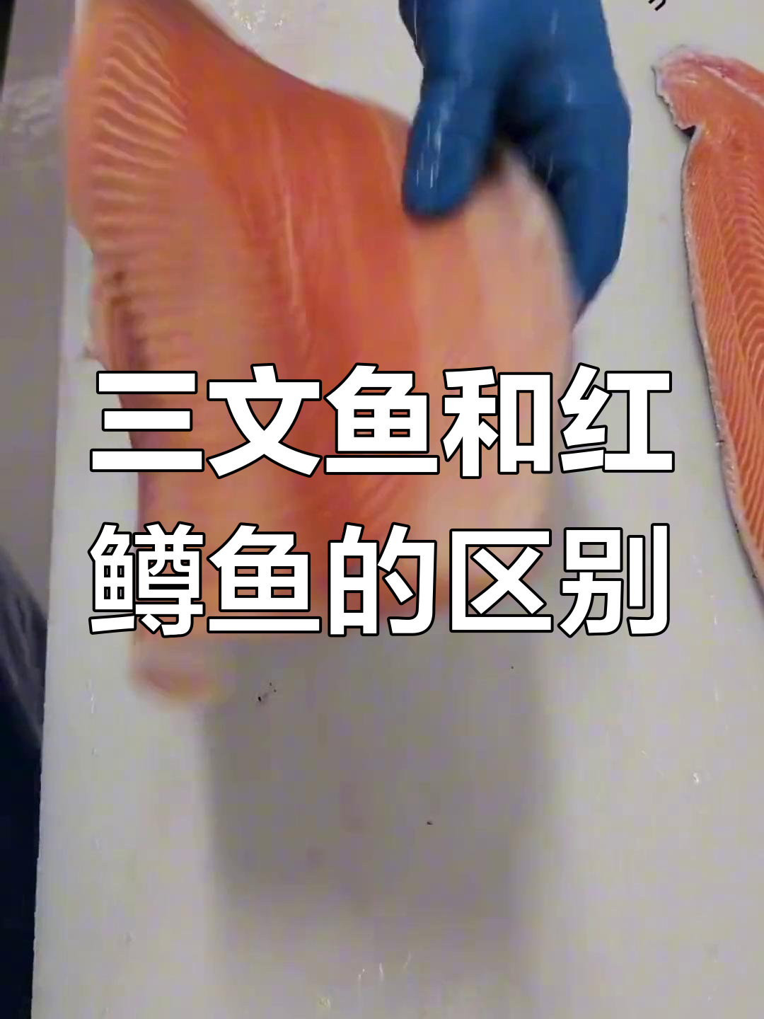 正宗三文鱼与红鳟鱼的口感差异,你能分辨吗?