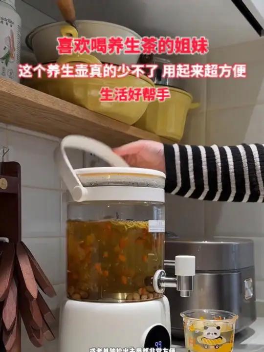 m 立时养生壶家用过滤中式大容量花茶壶便携式煮茶全自动小型