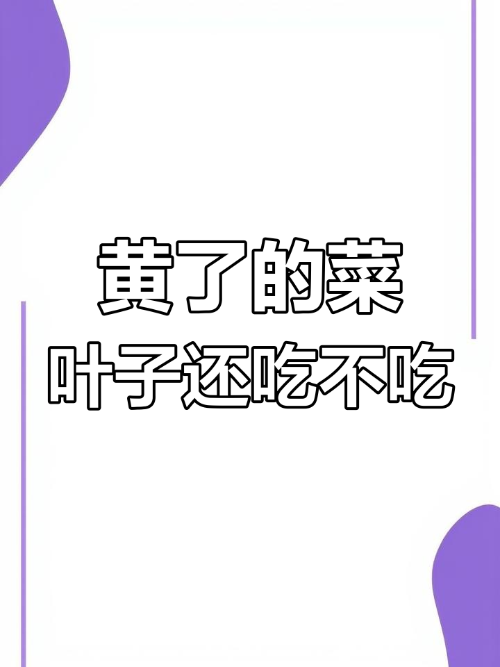 菜叶黄了还能吃吗?两位高僧的故事告诉你惜福之道