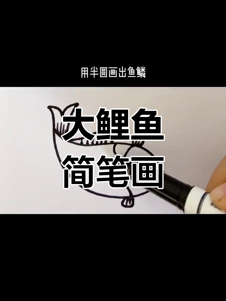 简单几步画出大鲤鱼