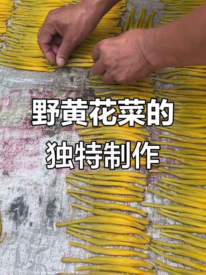 纯天然野生黄花菜,自然晾晒四五天,营养价值高
