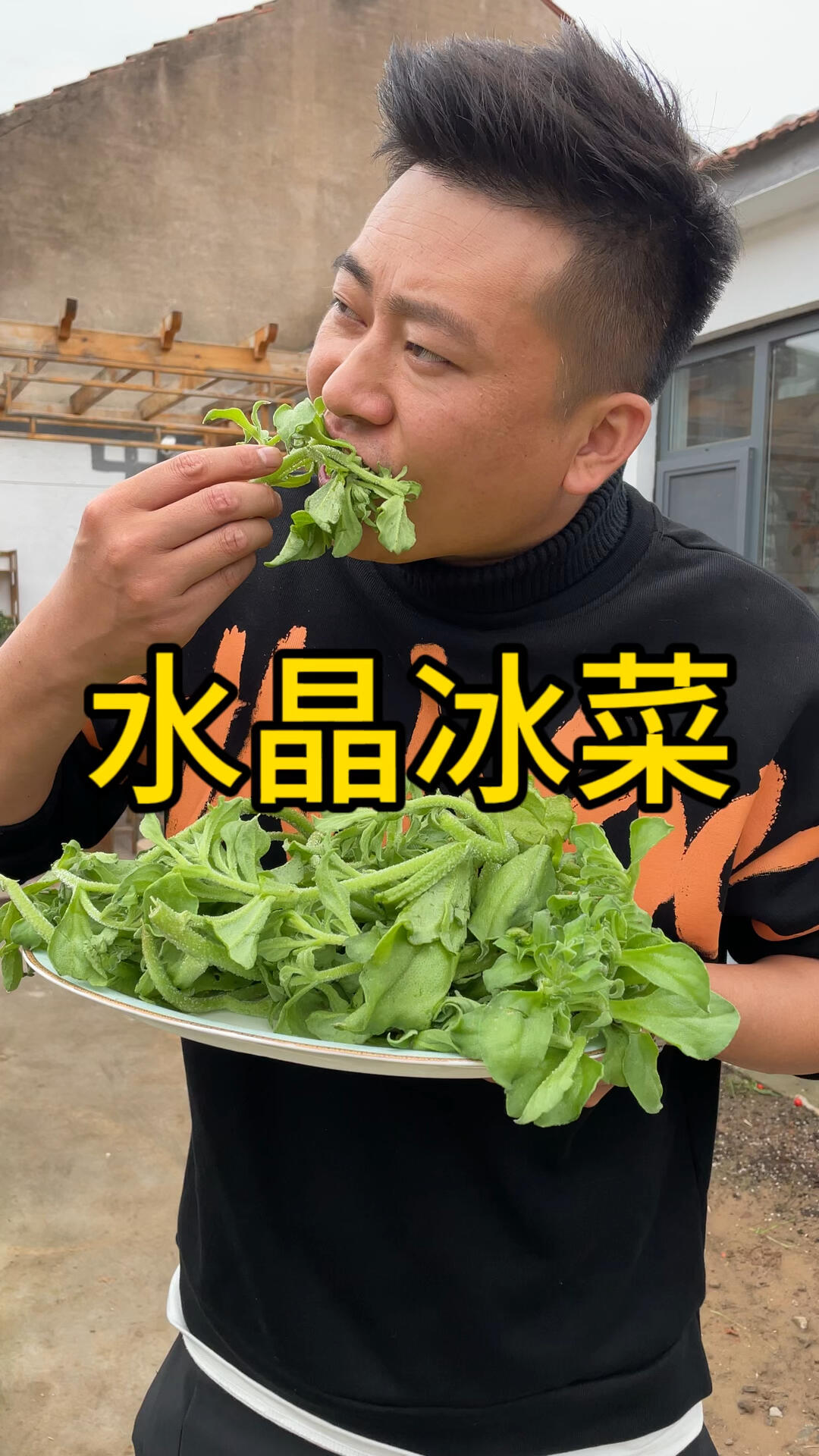 水晶冰菜