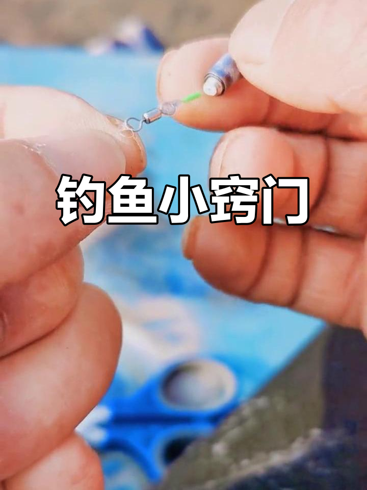 点击头像,掌握钓鱼秘籍,轻松收获更多技巧与知识!