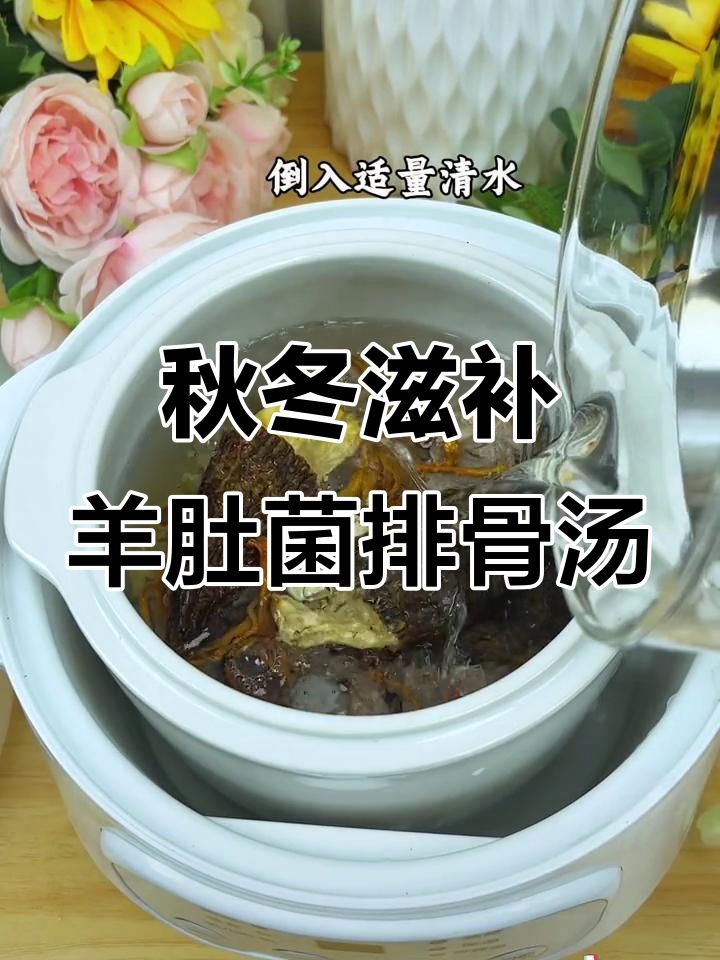 秋季必试羊肚菌排骨汤,营养满分又好喝