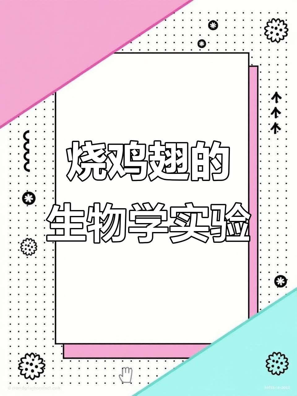 烧鸡翅也能做生物解剖实验,超有趣!