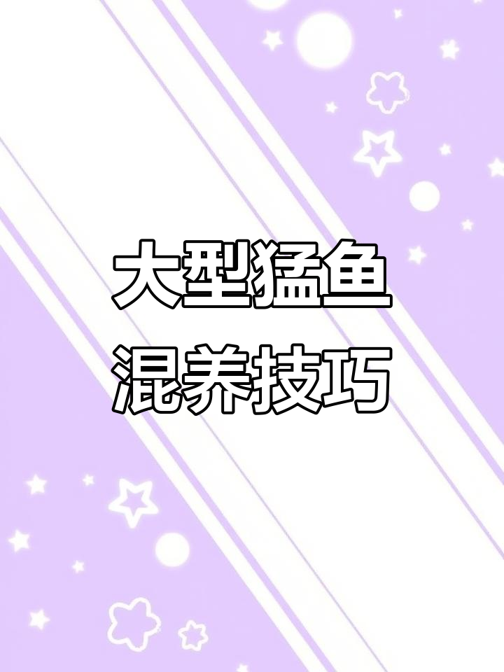 龙趸石斑与柠檬鲨混养,水体大才能和谐共处