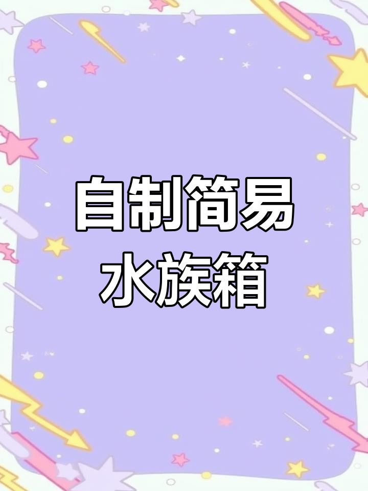 塑料桶秒变精美水族箱,轻松打造自然鱼缸