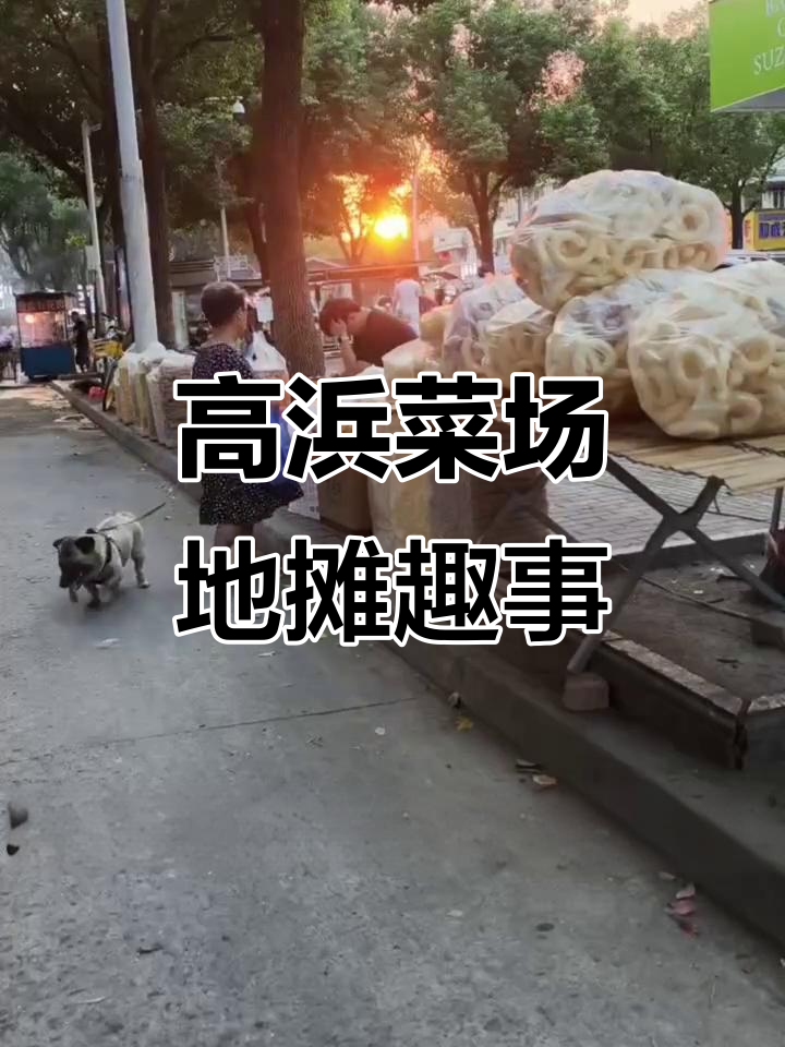 苏州高浜菜场热闹非凡,小阿姨的地摊集市大揭秘