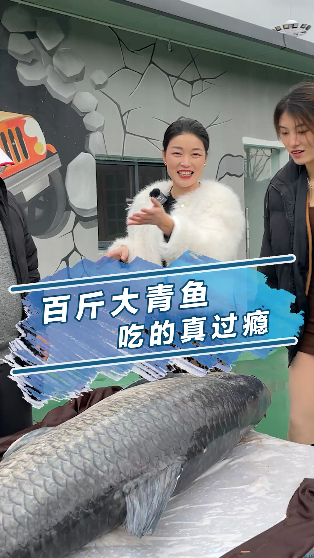 百斤大青鱼 吃的真过瘾