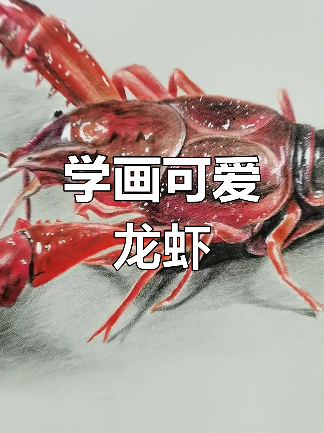 画龙虾也能这么有趣，彩铅技巧大揭秘
