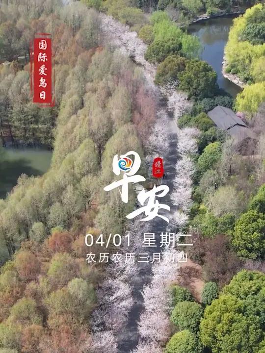 今天是2025年4月1日,农历三月初四。每一声啼鸣都是自然的馈赠。保护生物多样性,和谐共享