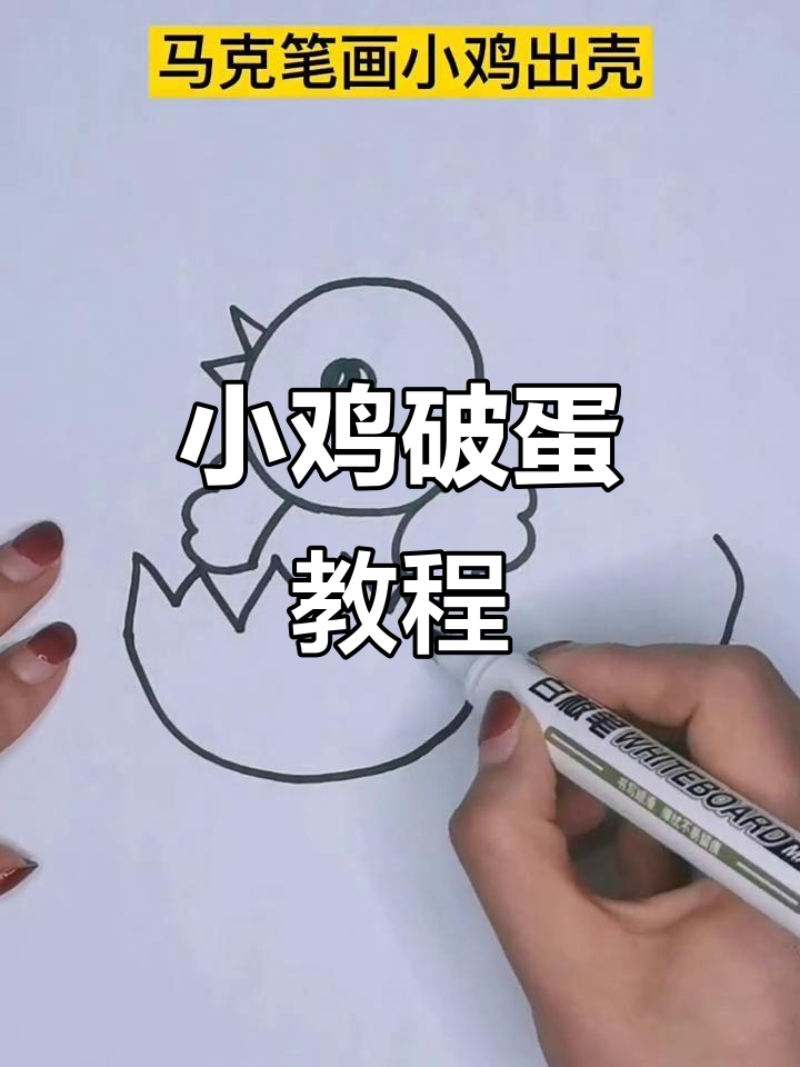 小鸡出壳:从内打破,发现成长与重生
