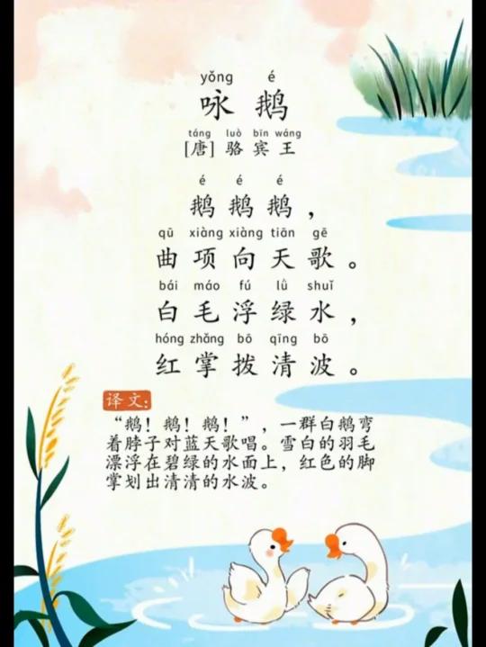 第5首《咏鹅》唐.骆宾王.有译文.有拼音