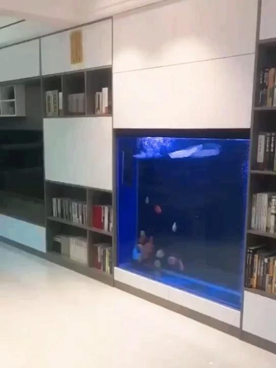 书架书柜鱼缸推荐嵌入式鱼缸电视背景墙鱼缸