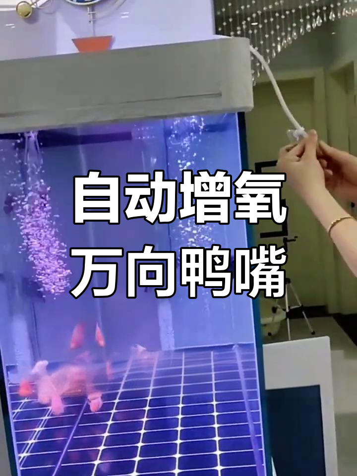 鱼缸增氧鸭嘴,透明亚克力防回流设计