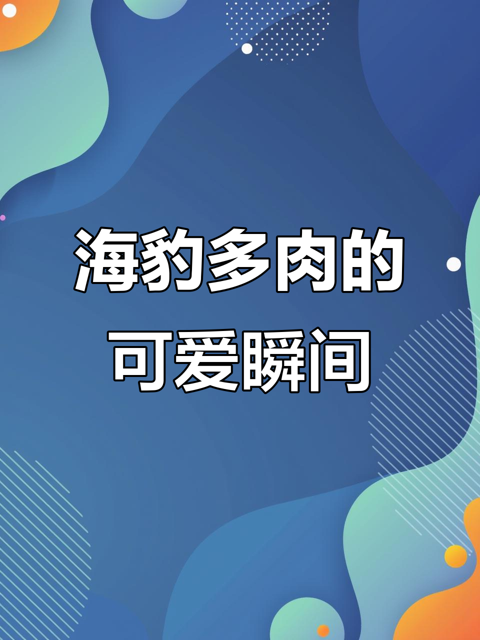 肥嘟嘟的海豹多肉,萌态十足