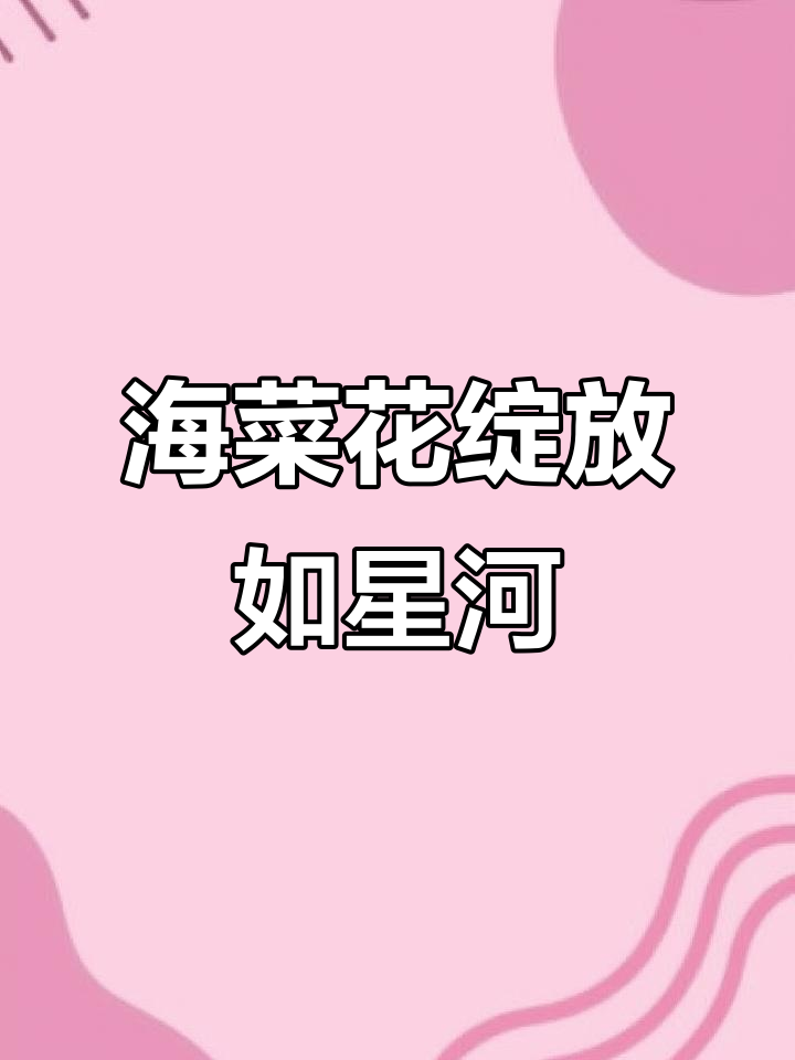 洱海海菜花盛开,如星河般璀璨浪漫