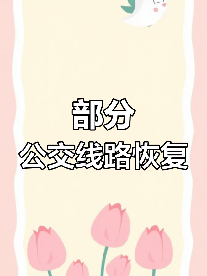 鸡西公交部分线路恢复,出行更方便