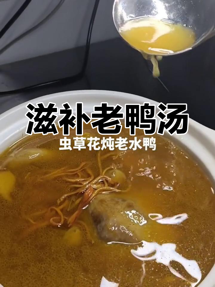 虫草花炖老鸭,滋补药材一网打尽,高压锅40分钟搞定