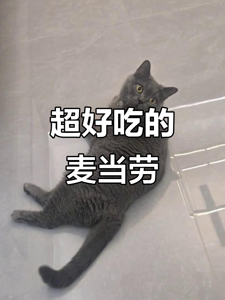 麦当劳汉堡,味道超赞!