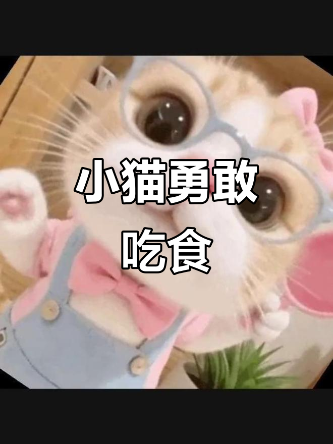 敢吃对的小猫头像,萌态十足