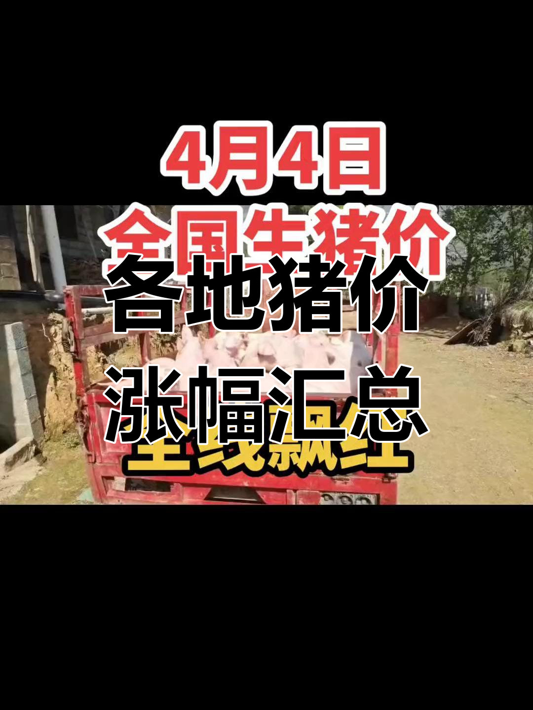 全国猪价走势分析:2023年4月4日价格变动