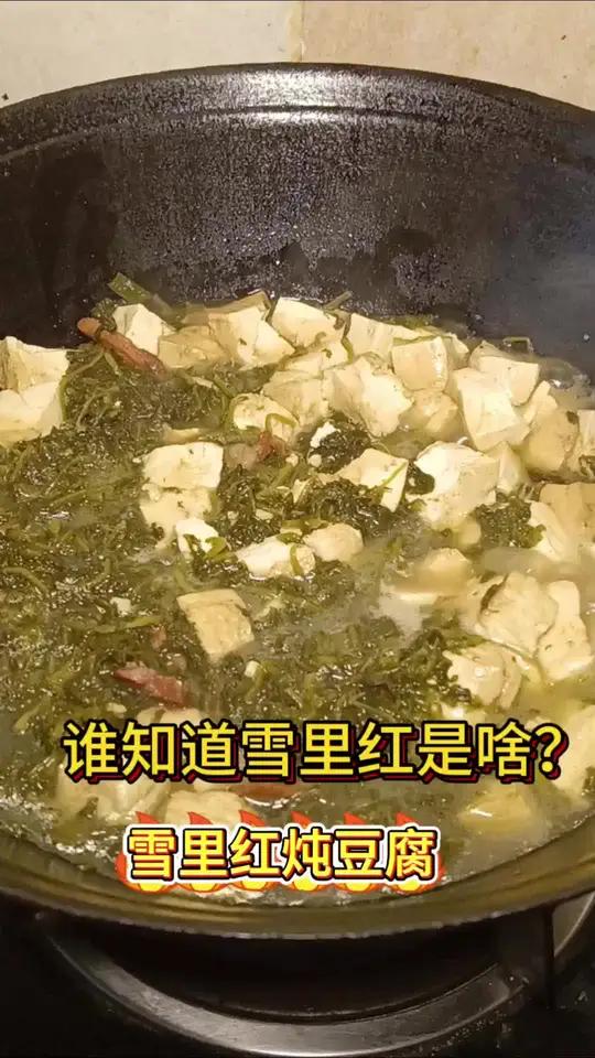 雪里红炖豆腐吃了半辈子,雪里红到底是雪菜还是芥菜啊 美食 雪里红 家常菜 雪里蕻炖豆腐