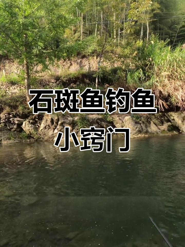 溪流钓石斑鱼技巧大揭秘,饵料拉钩轻松上鱼