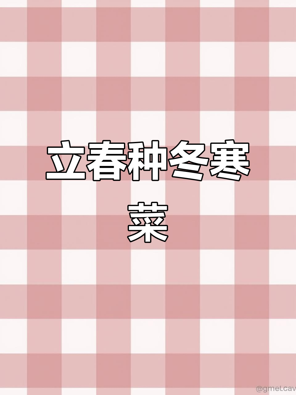 冬寒菜嫩滑美味,立春后正是种植时机