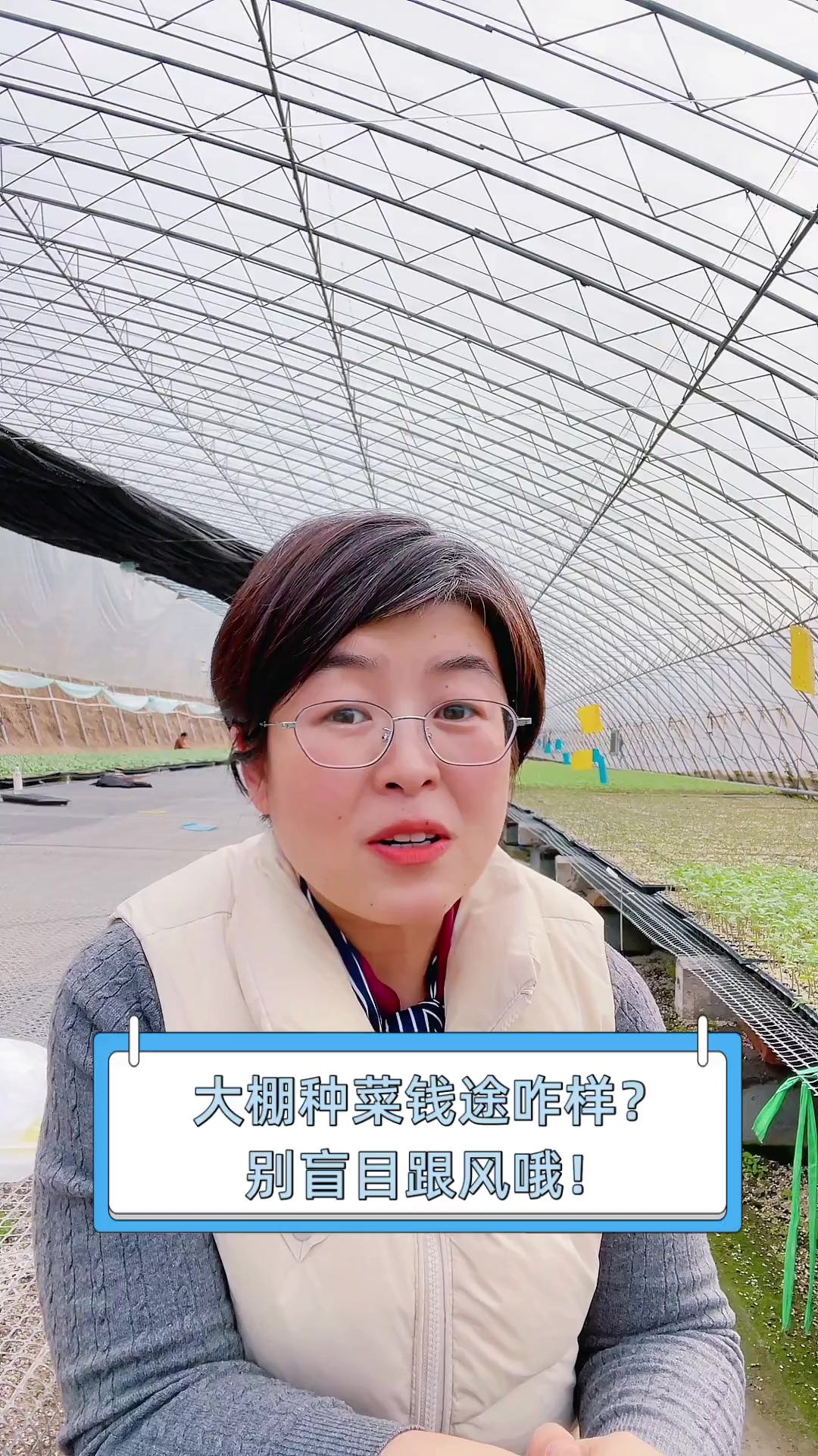 大棚种菜钱途咋样?别盲目跟风哦!