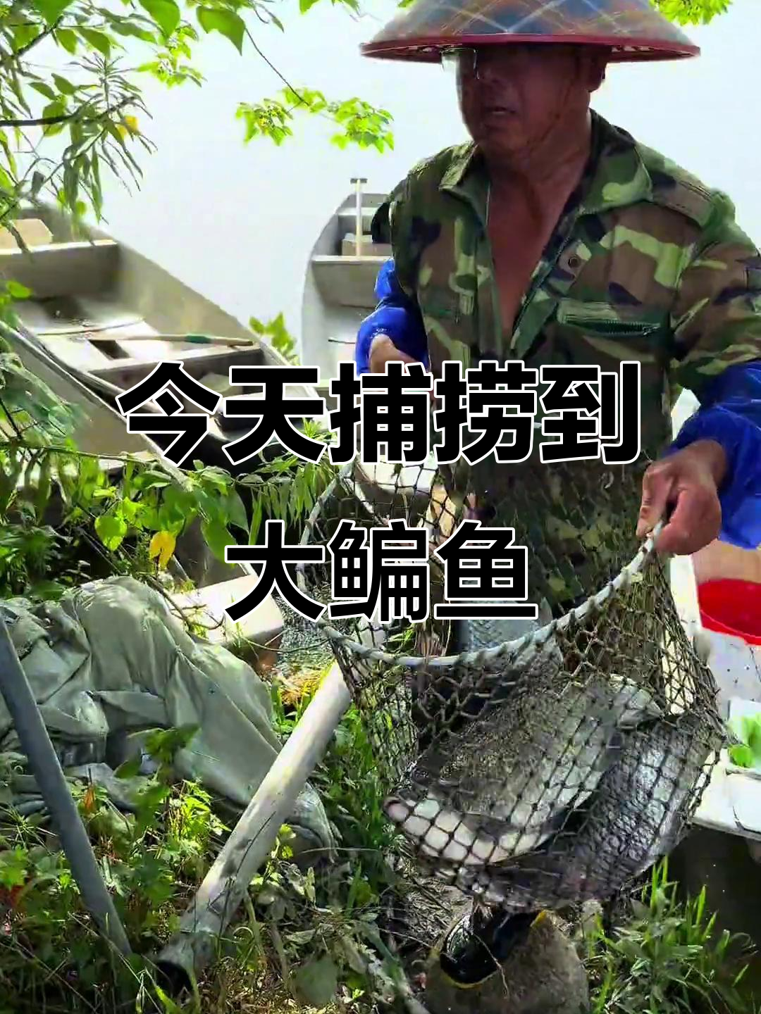 野生大鳊鱼、红珠和稀有的红眼,今天渔获满满