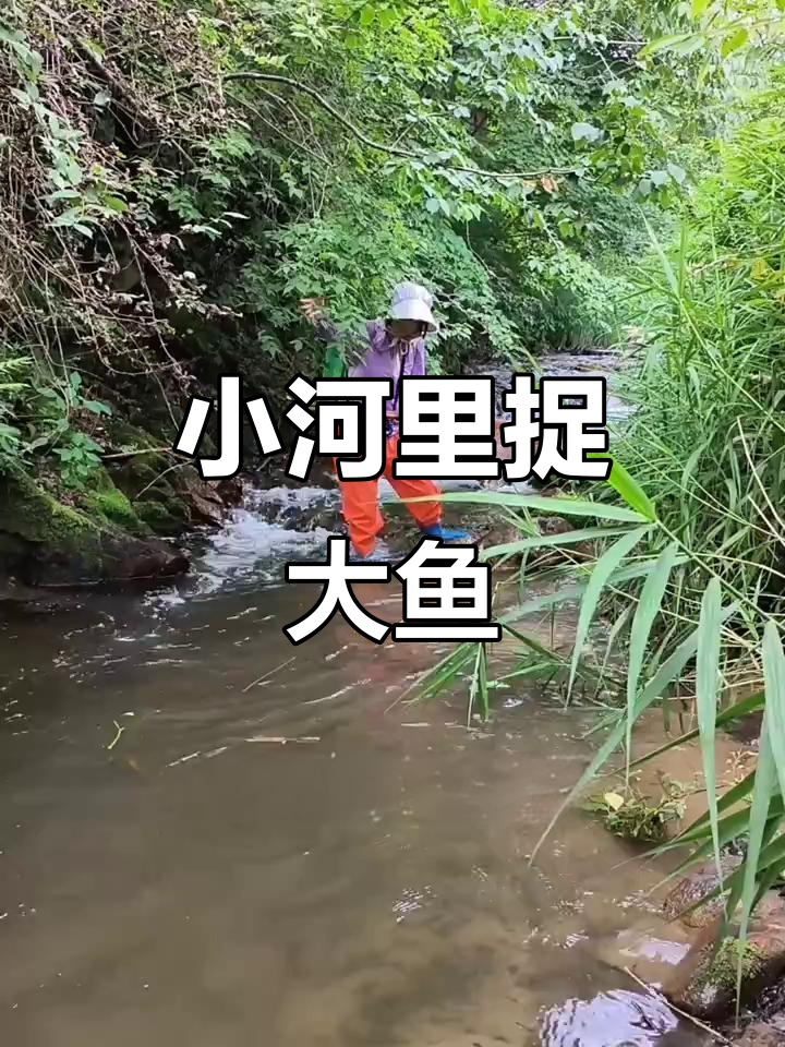 村里小河抓鱼乐趣多,野生柳根泥鳅都能轻松捕捉