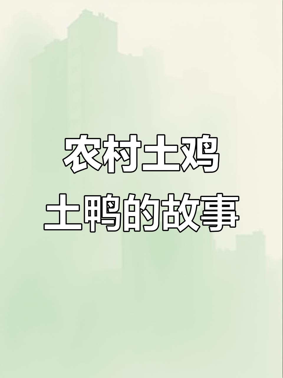 农家土鸡土鸭,平凡生活中的感恩与追求