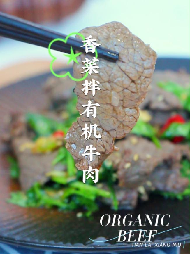 简单操作就能将牛肉烹饪到极致,一口吃尽:嫩、香、爽、滑 天莱香牛 香菜拌有机牛肉 有机生活