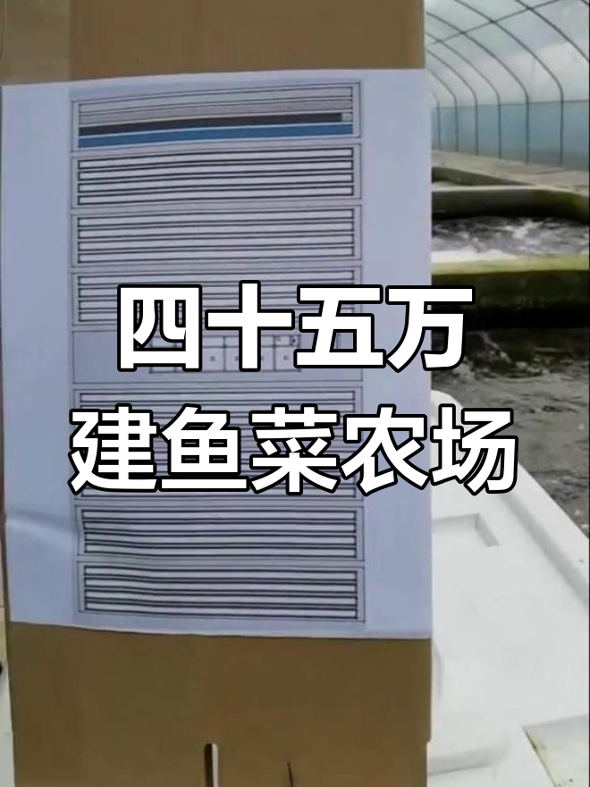 鱼菜共生农场简配版:四十五万打造九棚系统