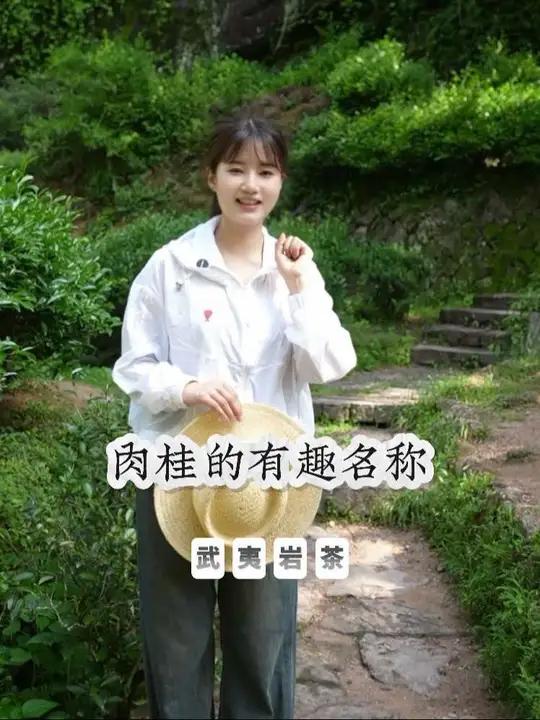 你知道天心岩的肉桂叫什么名字么 武夷岩茶 武夷山 岩茶