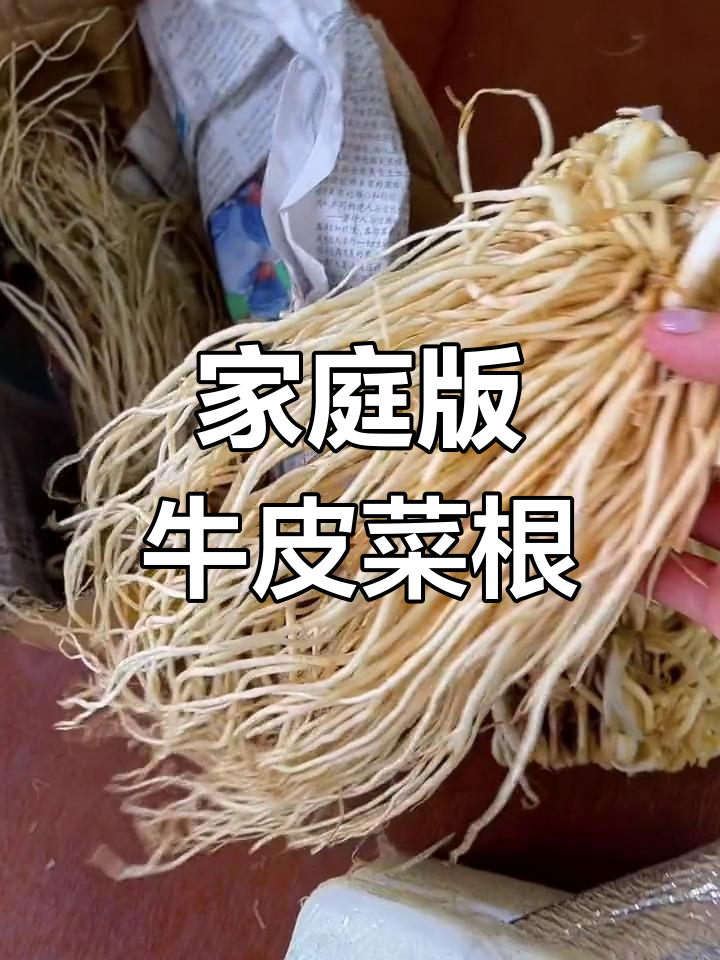 自制牛皮菜根,轻松搞定家常美味