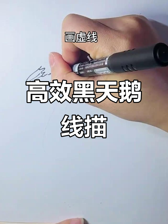 黑天鹅线描技巧，轻松画出优雅曲线