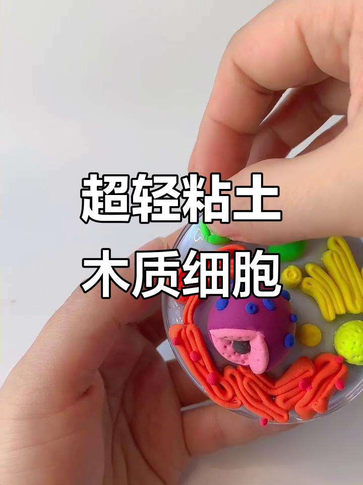 用超轻粘土做动物细胞模型,简单又有趣!