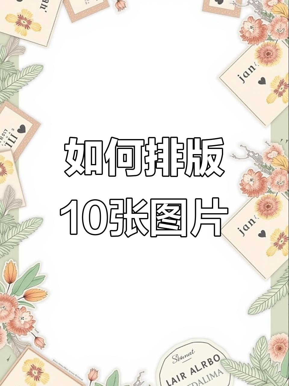 10张照片排版大挑战,如何巧妙布局提升设计感?