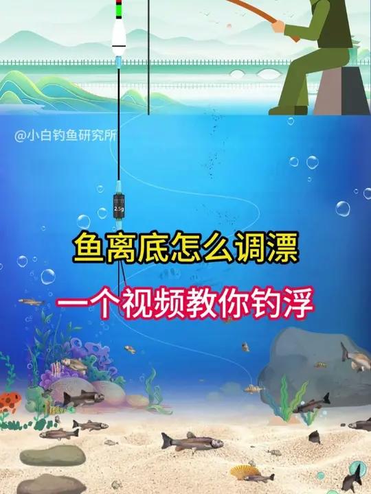 鱼离底该怎么调漂,一个视频教会你,钓浮钓底任意调