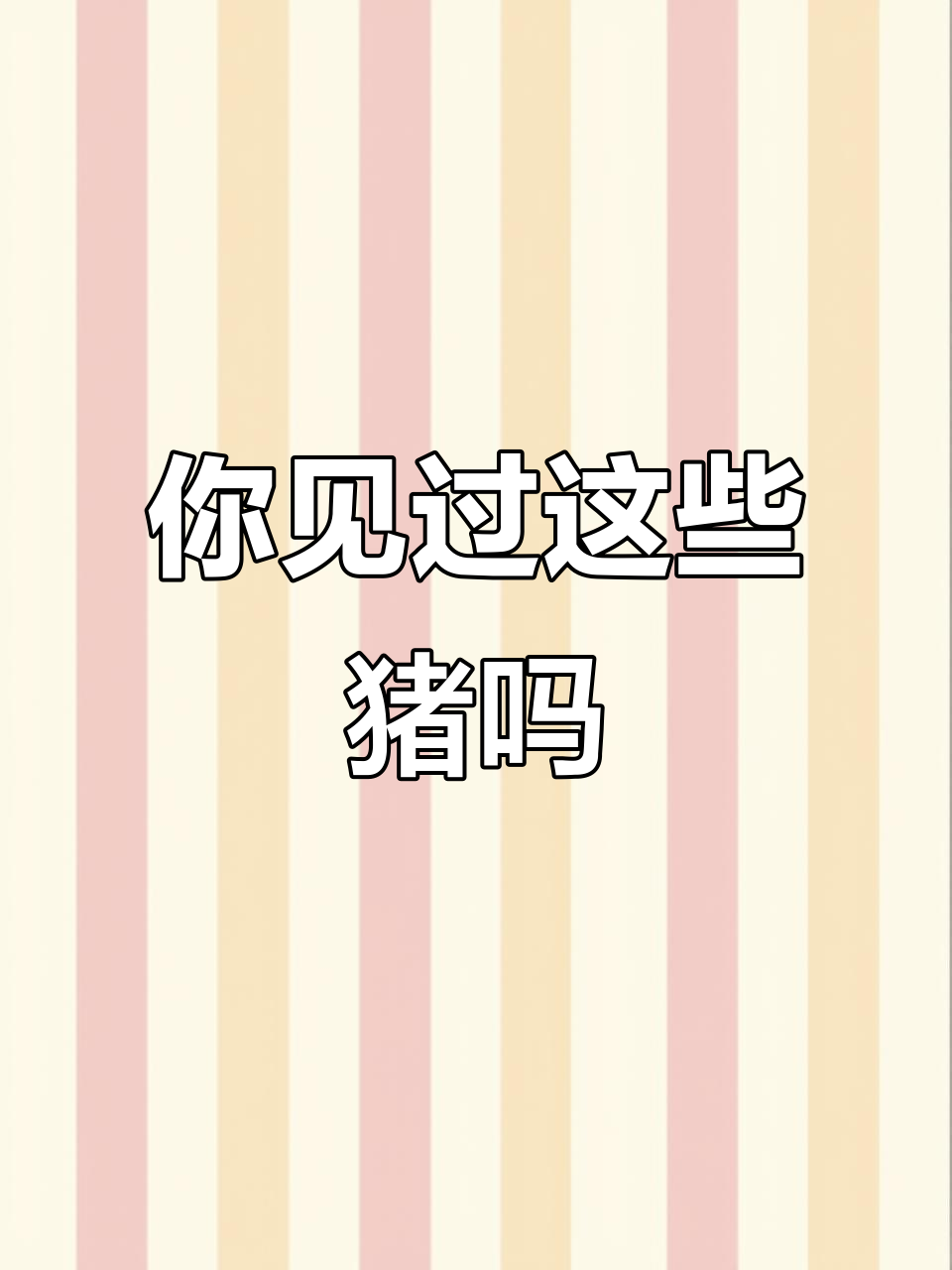 18种不同猪的介绍,你能吃几种?