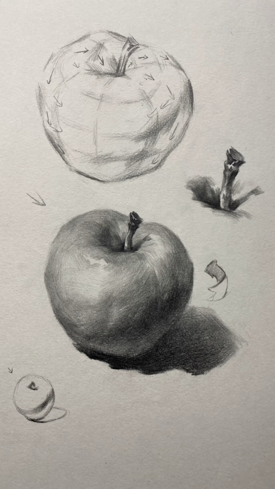 零基础学素描:教你画静物素描苹果(一)
