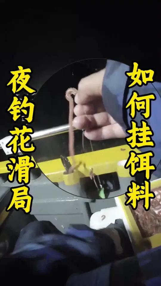 创作灵感 第177期|海钓猫总夫妇「惠东海钓分享」夜钓花滑局,如何挂饵料 钓鱼人就是这么疯