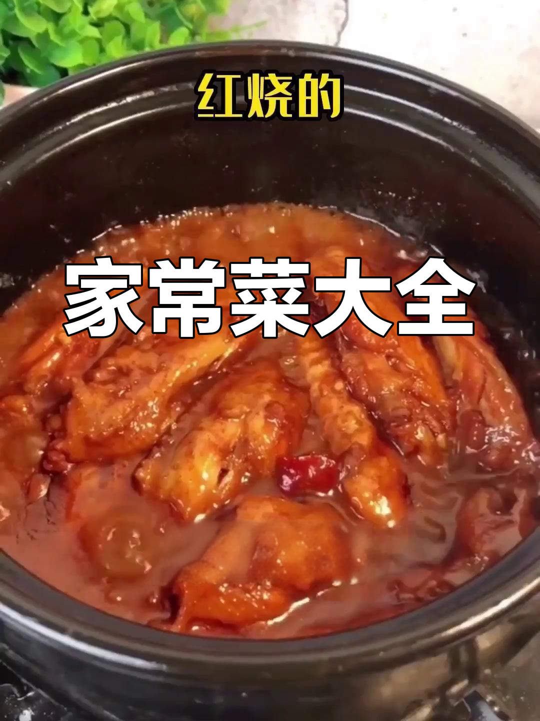舌尖上的中国:300多道家常菜谱,轻松学会
