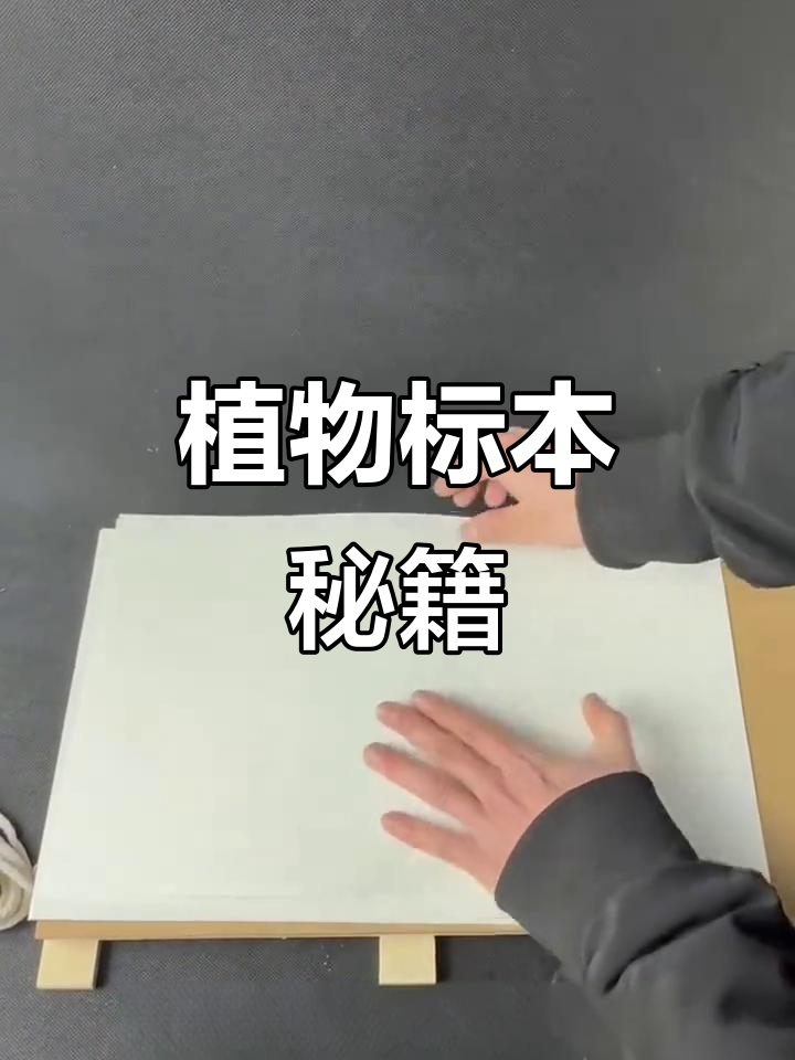 植物标本制作,轻松掌握技巧,保持原色不变!